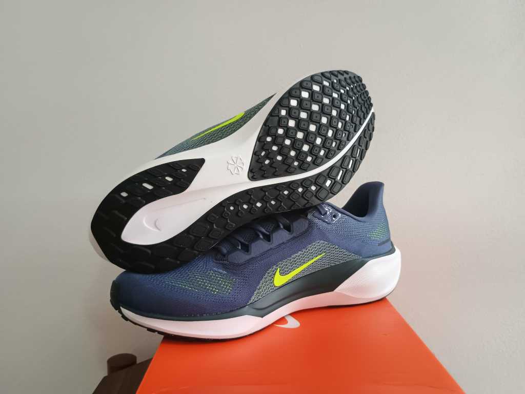 Pegasus 41 - slika 4