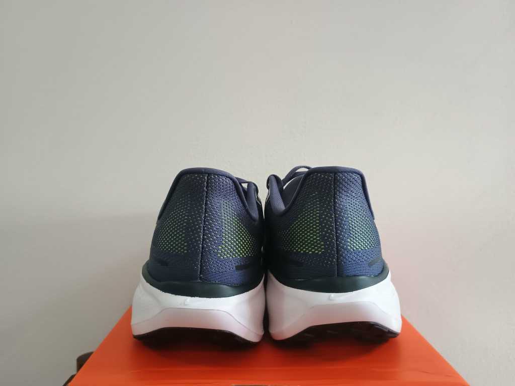 Pegasus 41 - slika 3
