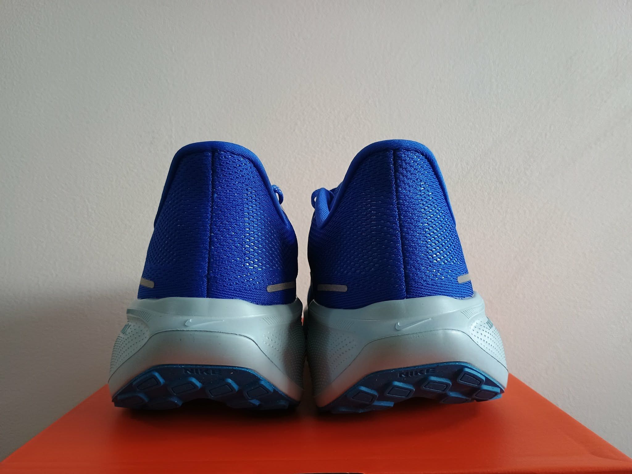Pegasus 41 - slika 7