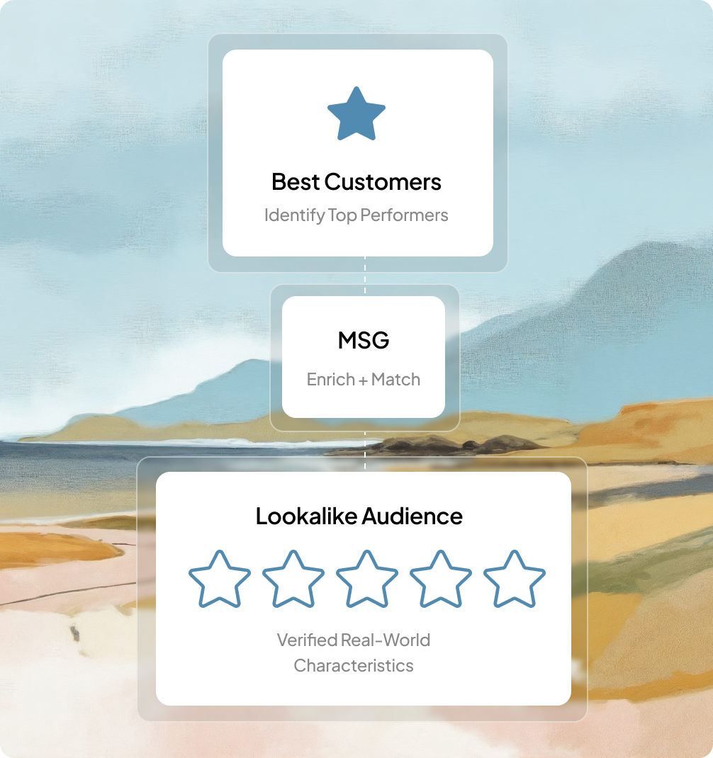 Build  Custom & Lookalike Audiences