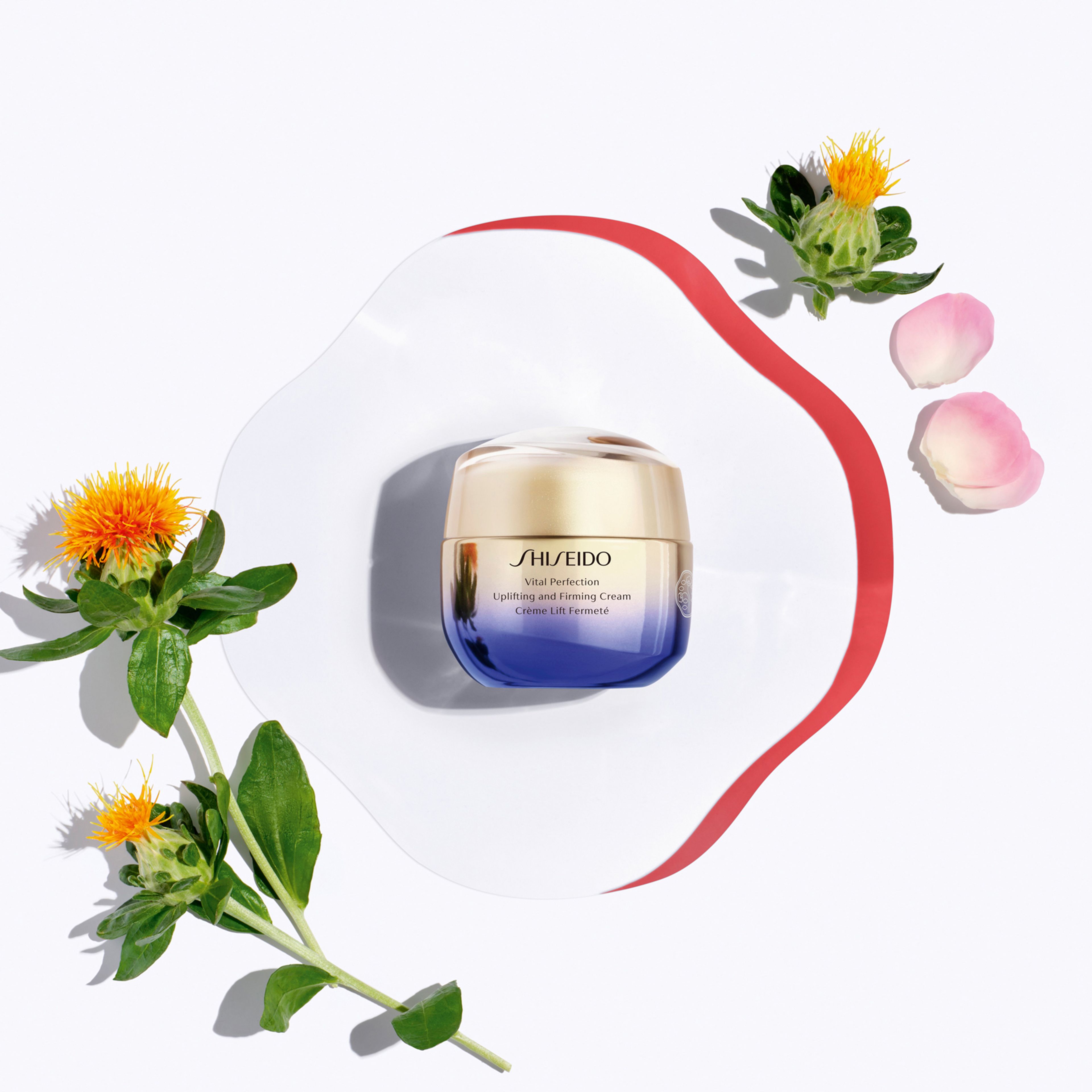 Shiseido Uplifting And Firming Cream 1