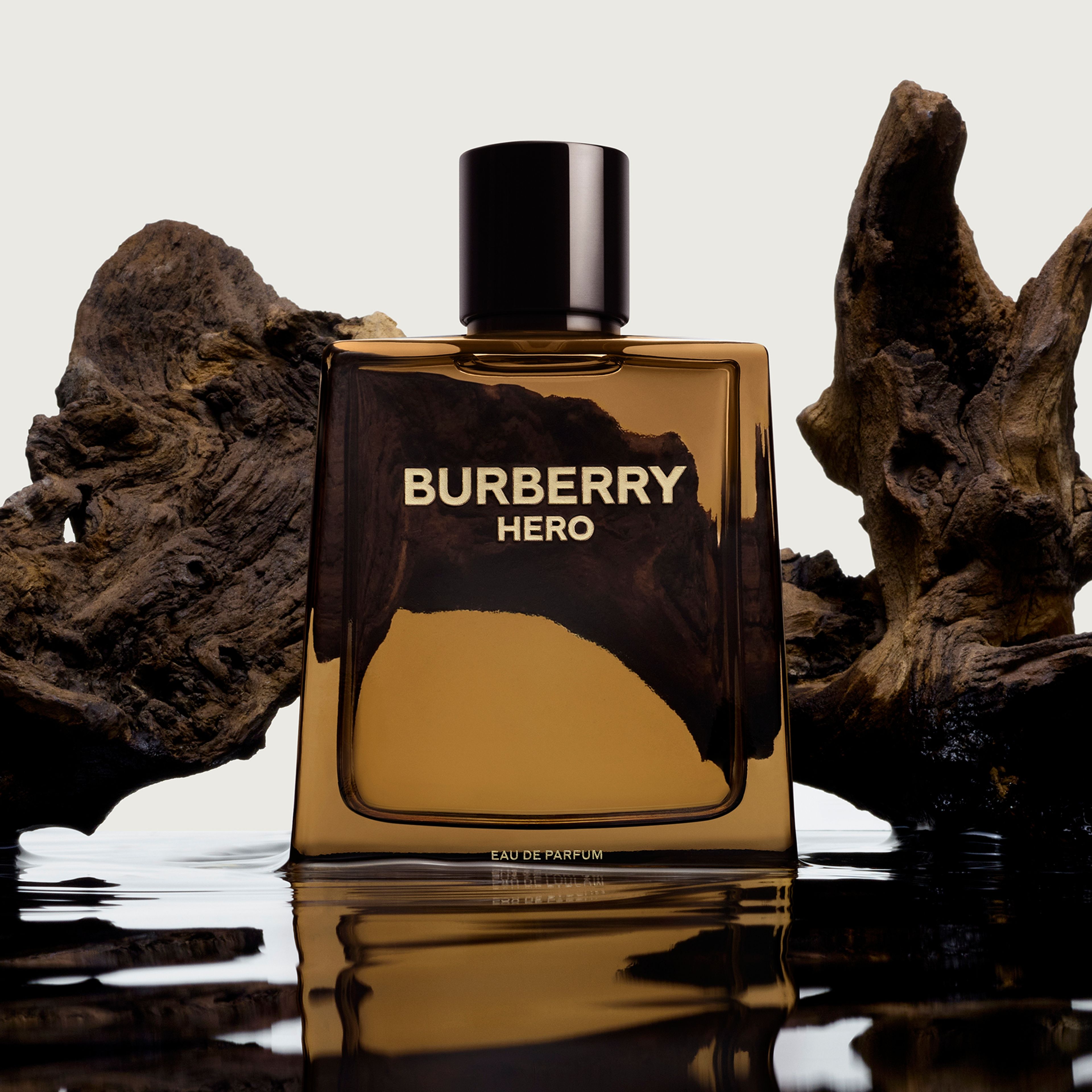 Burberry Burberry Hero Eau De Parfum 4