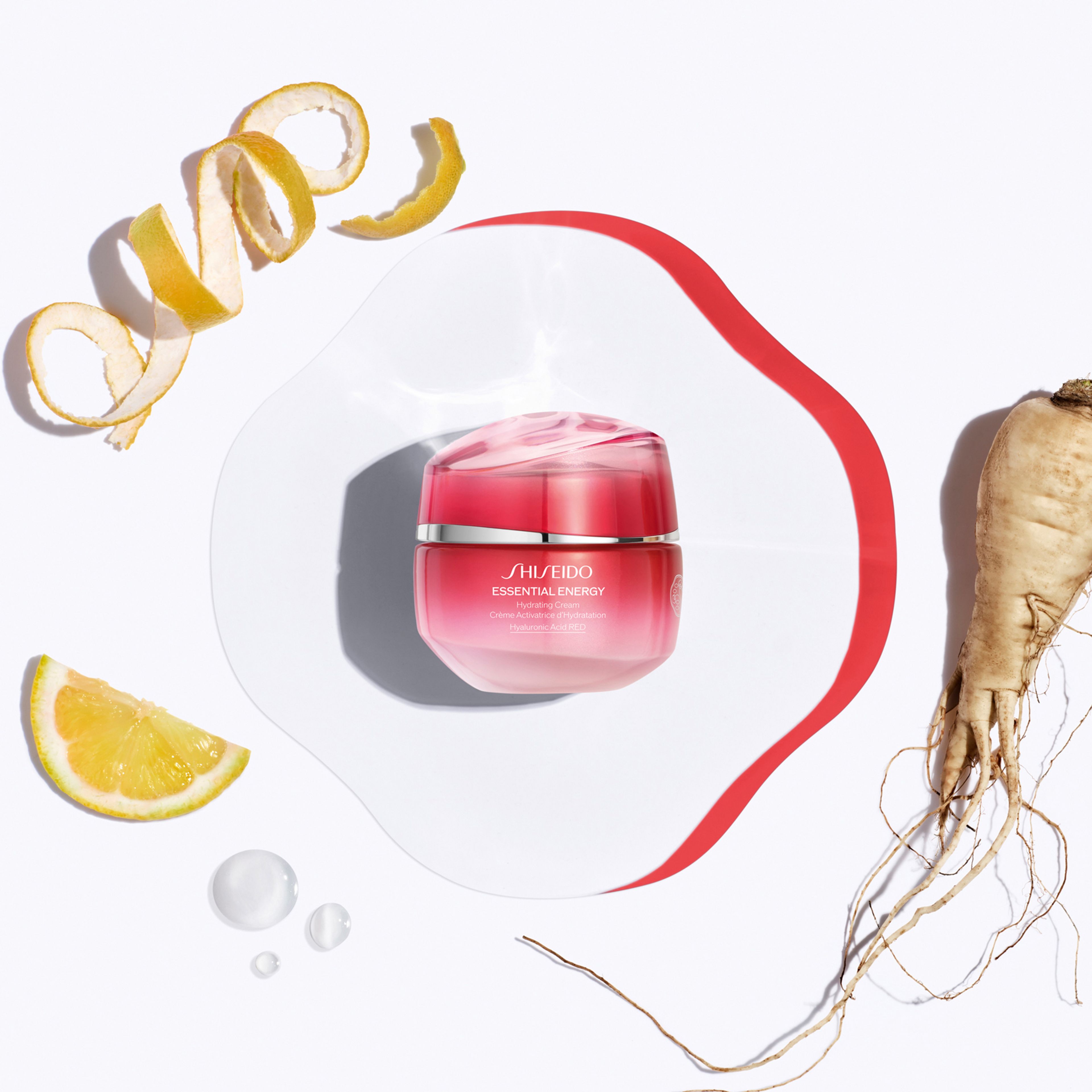 Shiseido Hydrating Cream 3