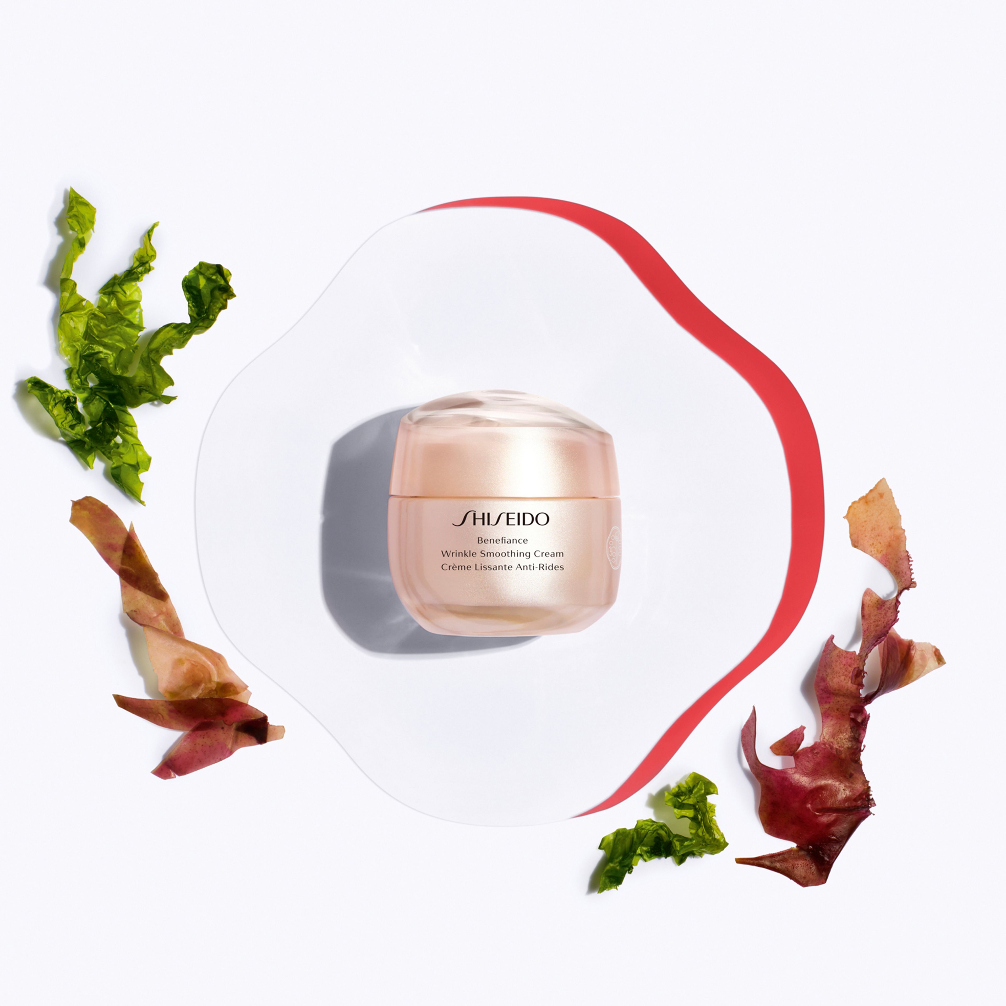 Shiseido Wrinkle Smoothing Cream 4