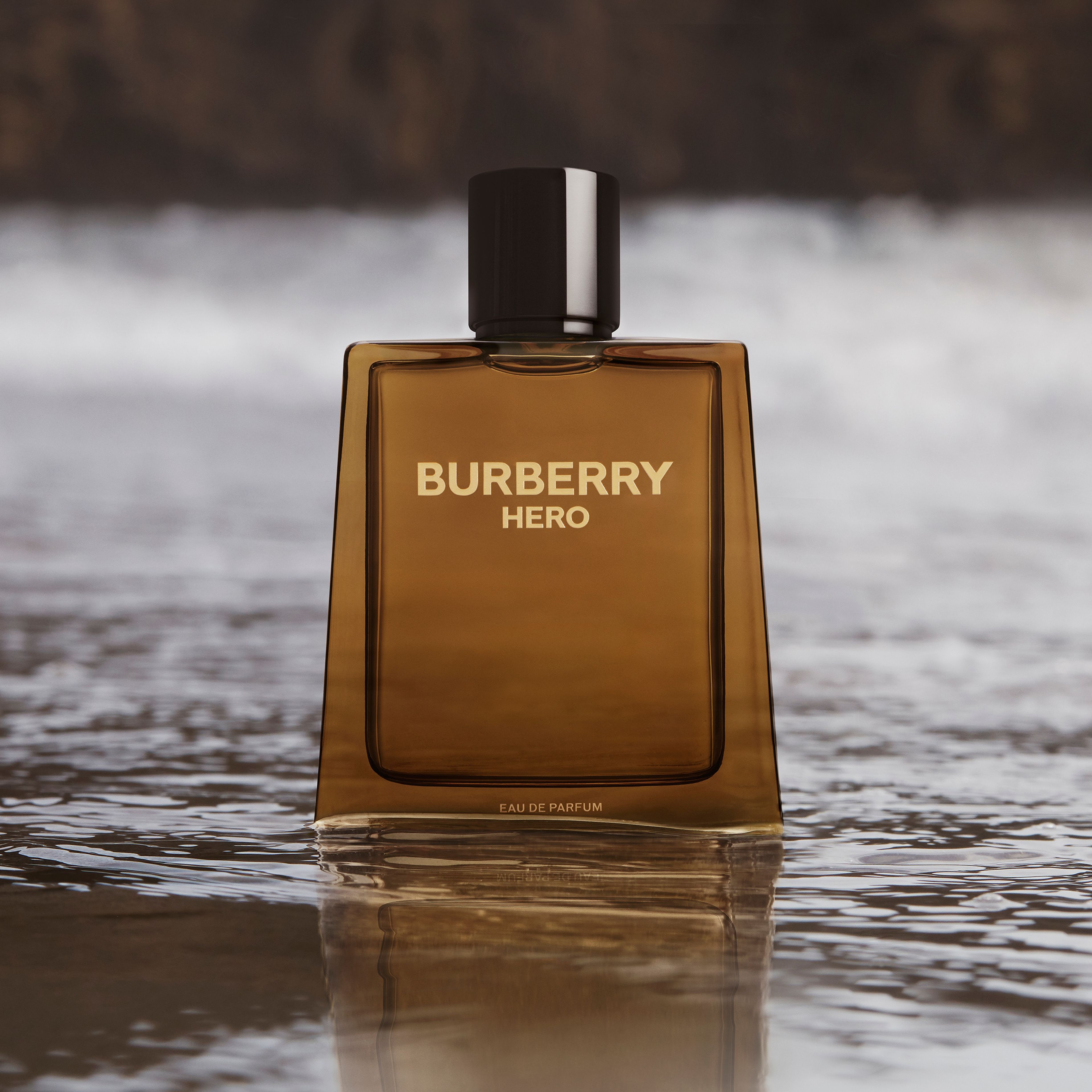 Burberry Burberry Hero Eau De Parfum 6