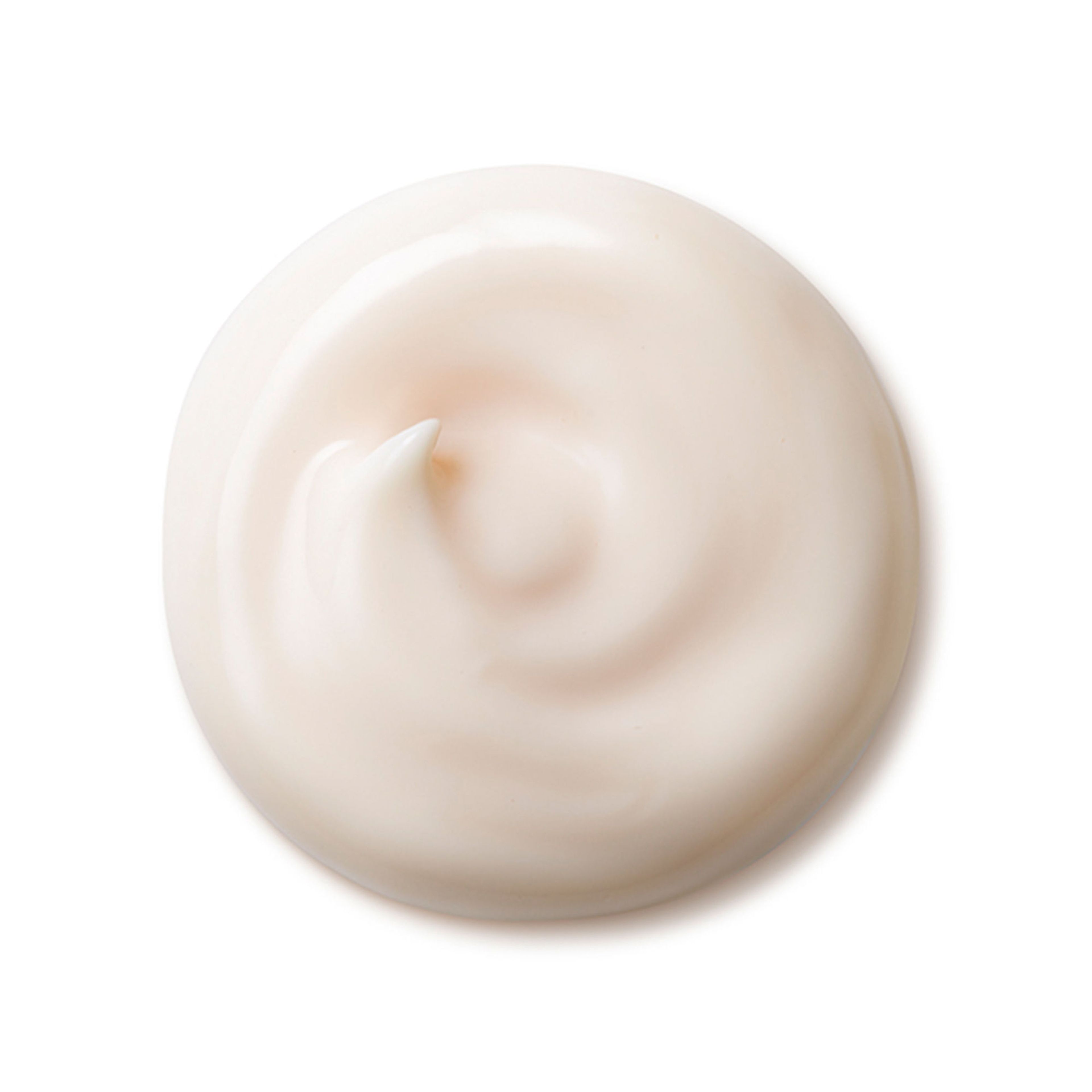 Shiseido Total Protective Cream 3