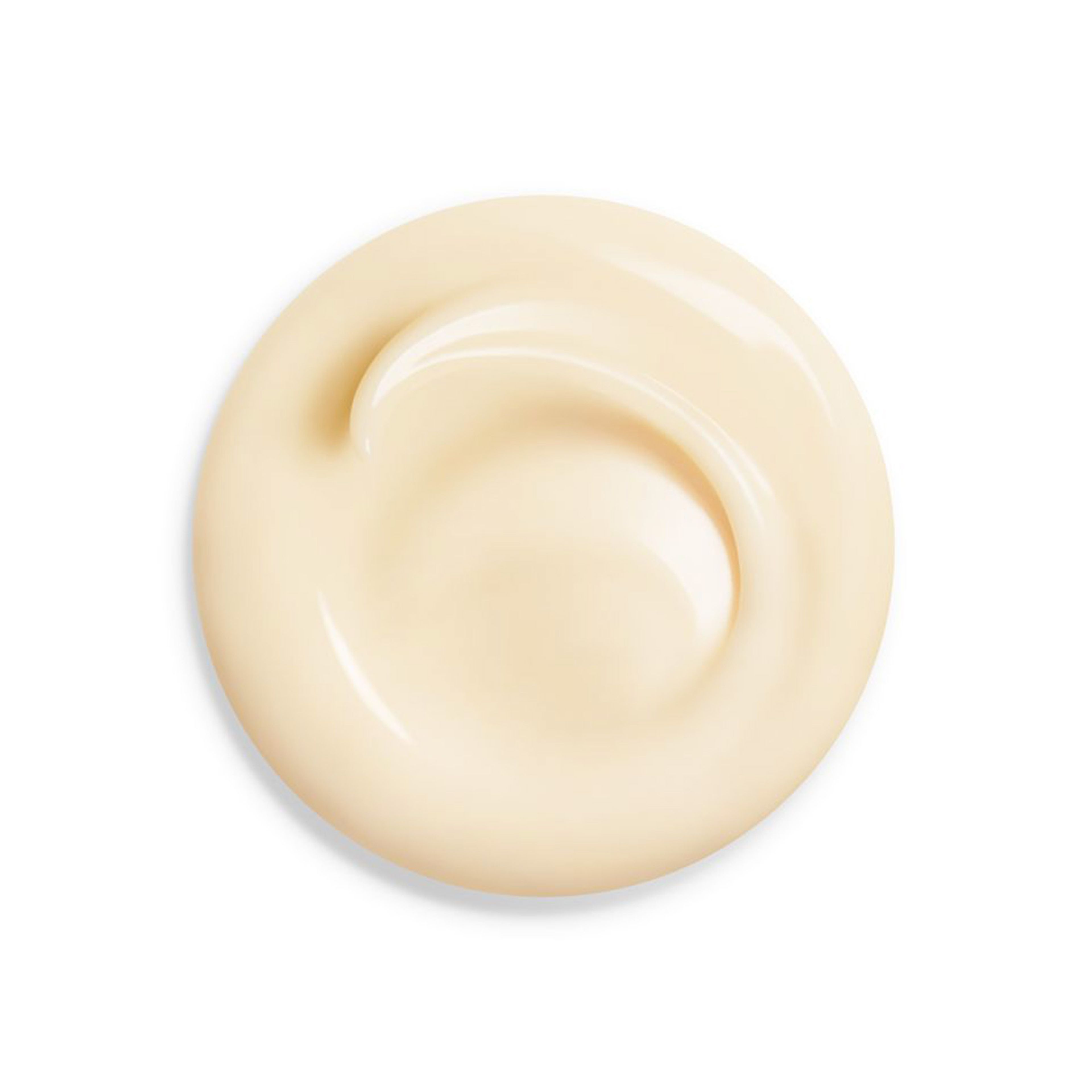 Shiseido Wrinkle Smoothing Cream 2