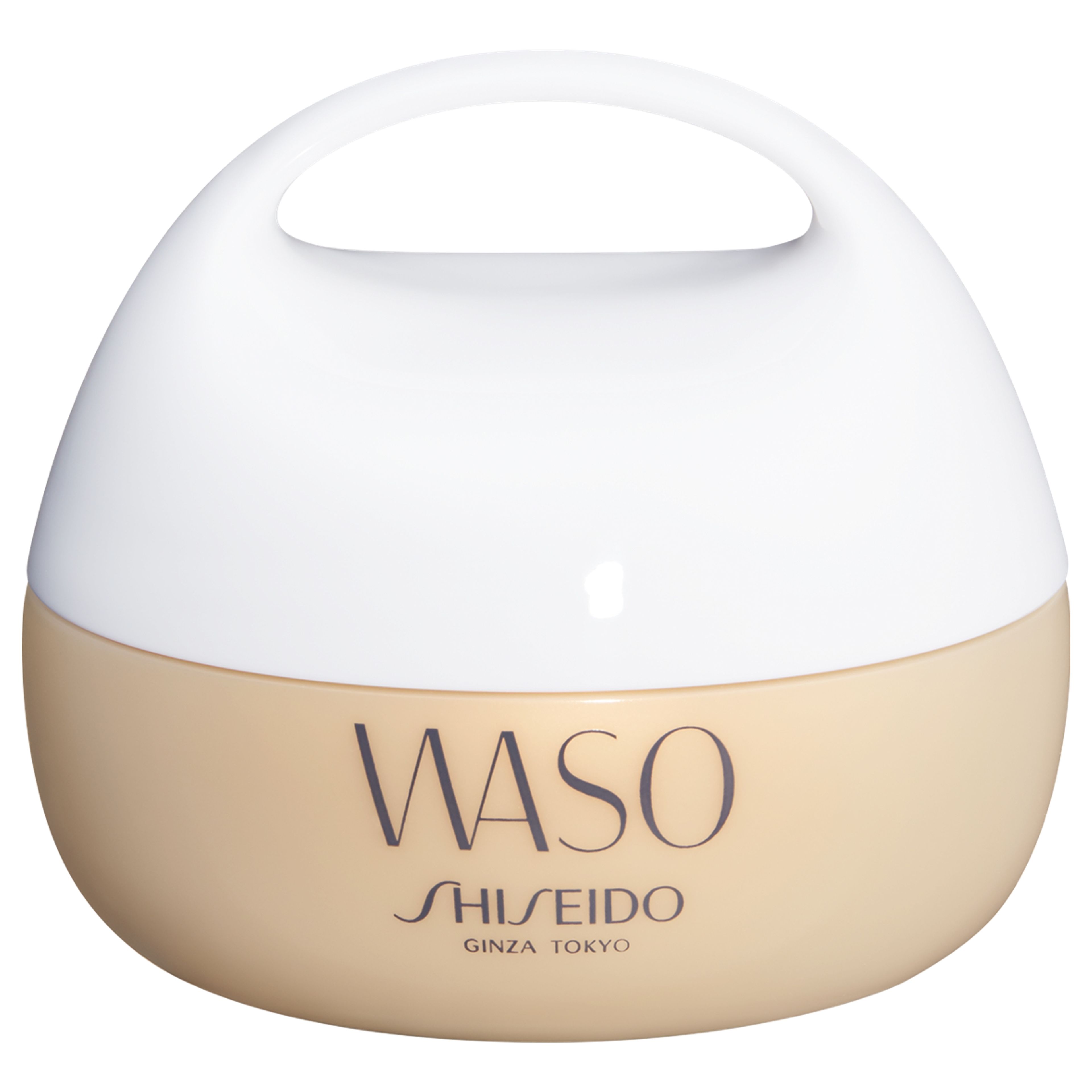 Shiseido Giga-hydrating Rich Cream 1