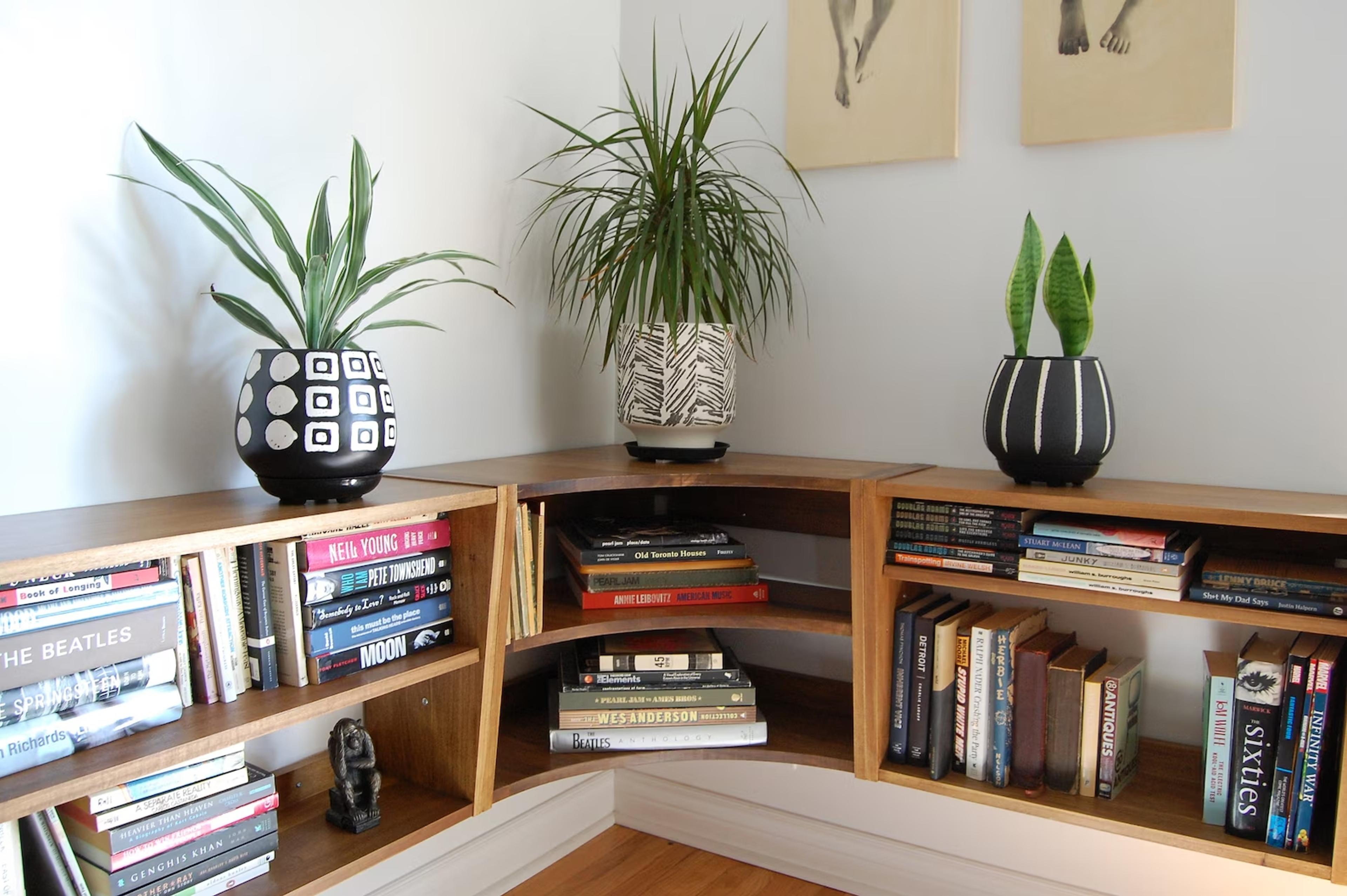 diy-project-bookshelves