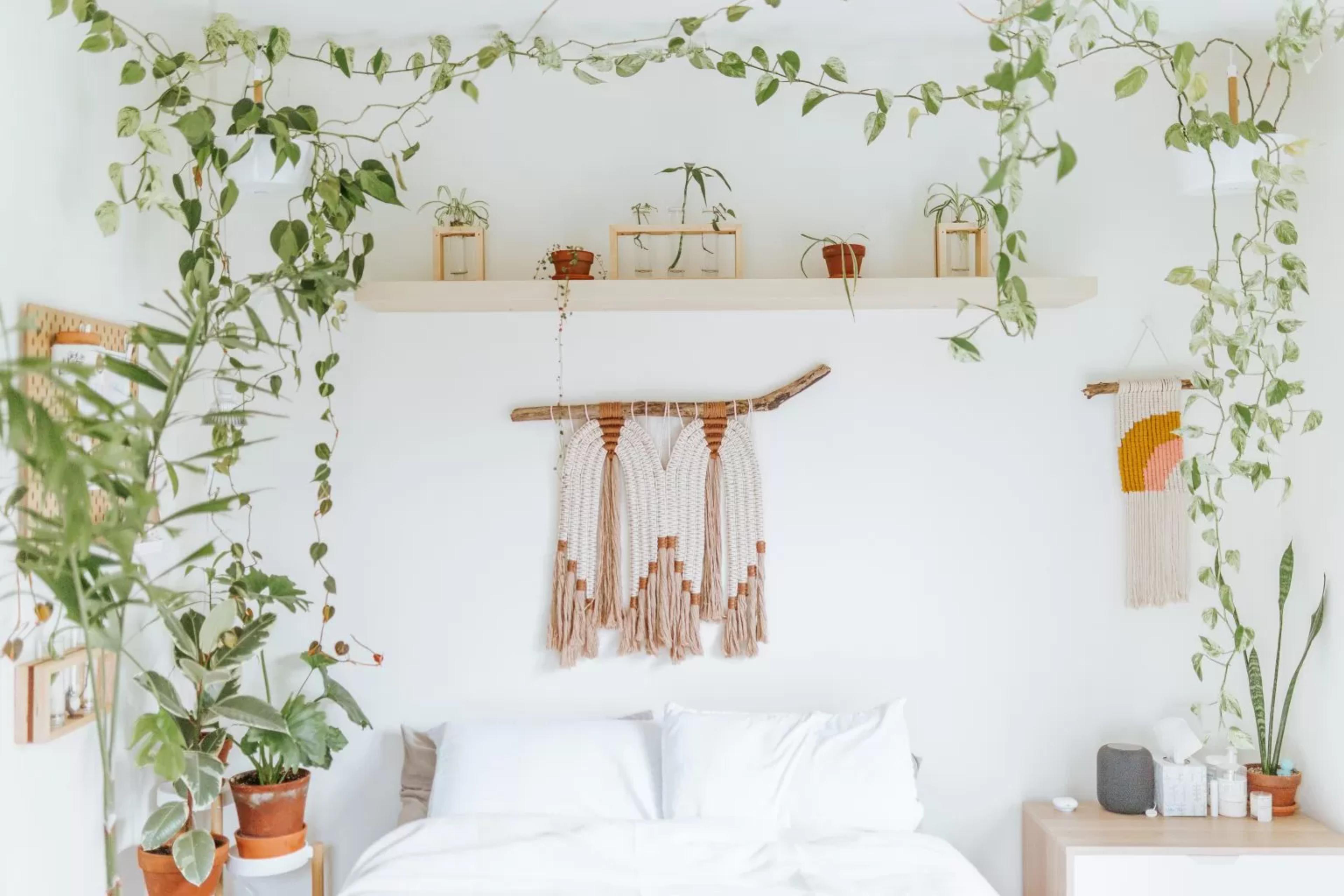 planten-slaapkamer