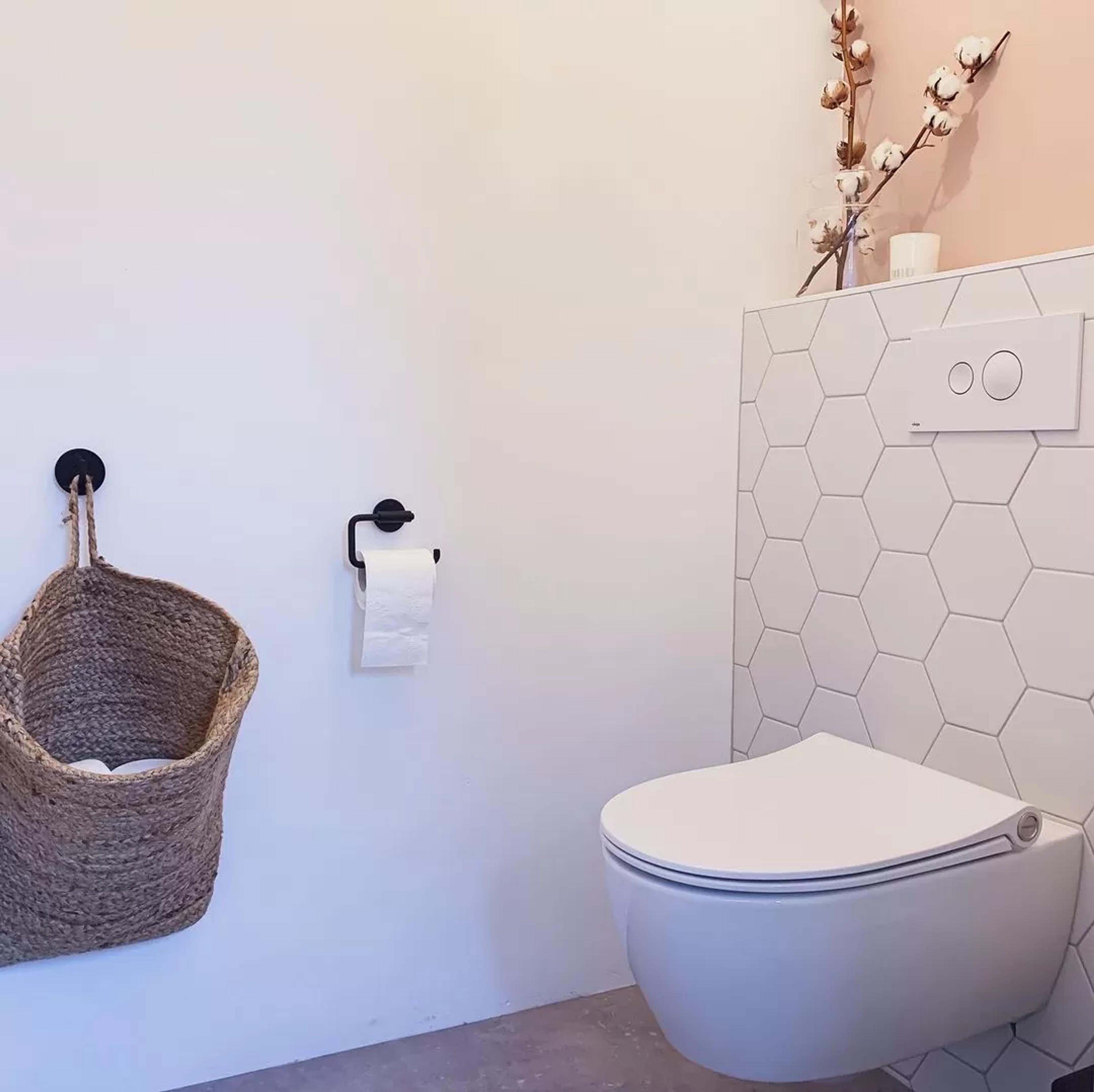 toilet-hexagon