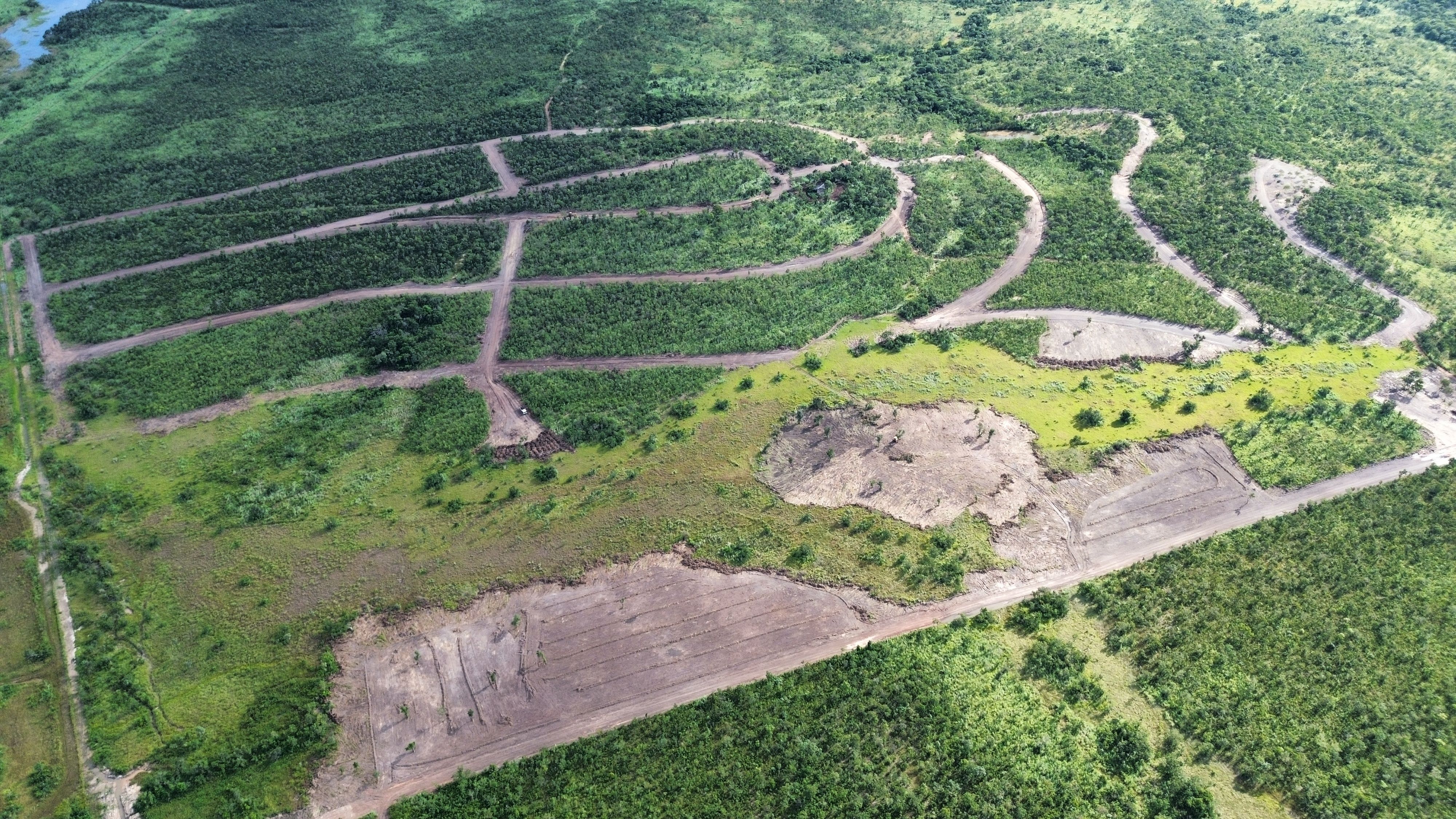 Foto da obra