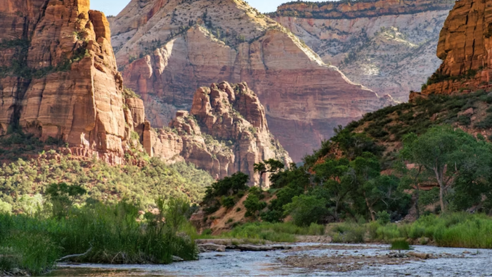 Zion's South Campground Just Reopened. The Parks Around It Are About to Get Busy.