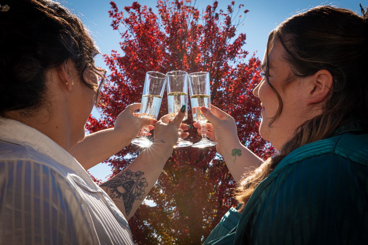 Two women toast with champagne under a red tree, creating a festive scene with sun glinting off glasses.