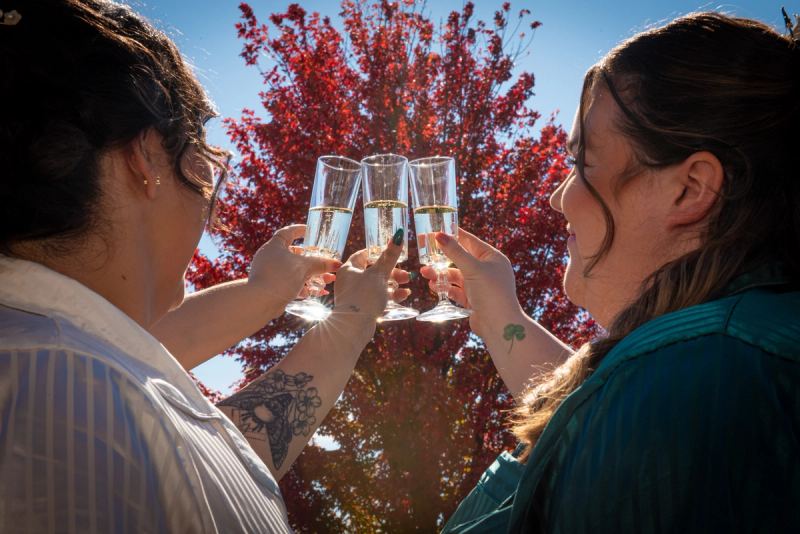 Two women toast with champagne under a red tree, creating a festive scene with sun glinting off glasses.