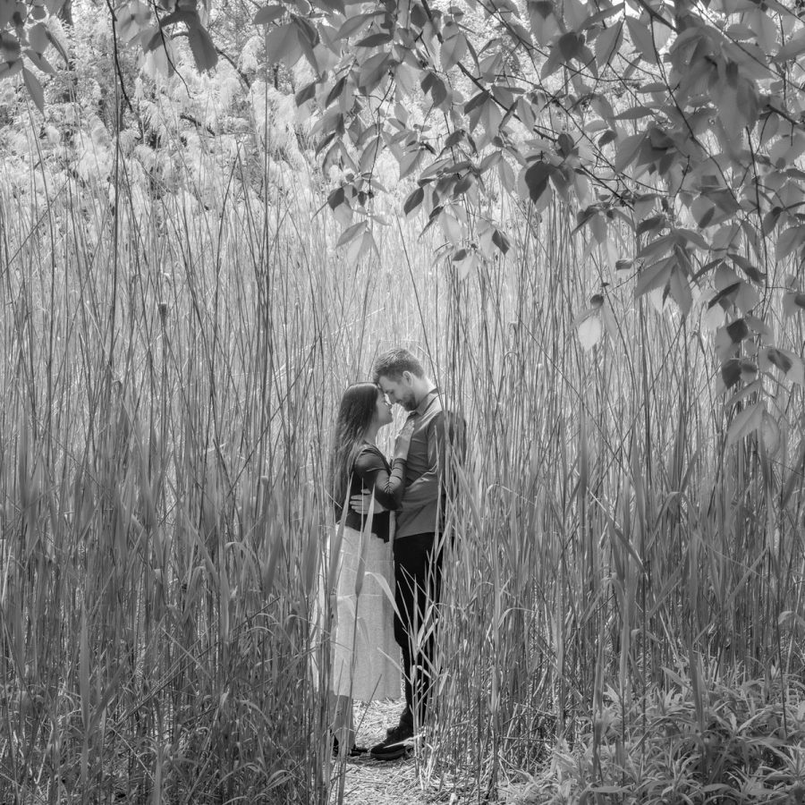 A couple stand forehead to forehead on a narrow path between reeds far taller than they are, photographed in black and white.