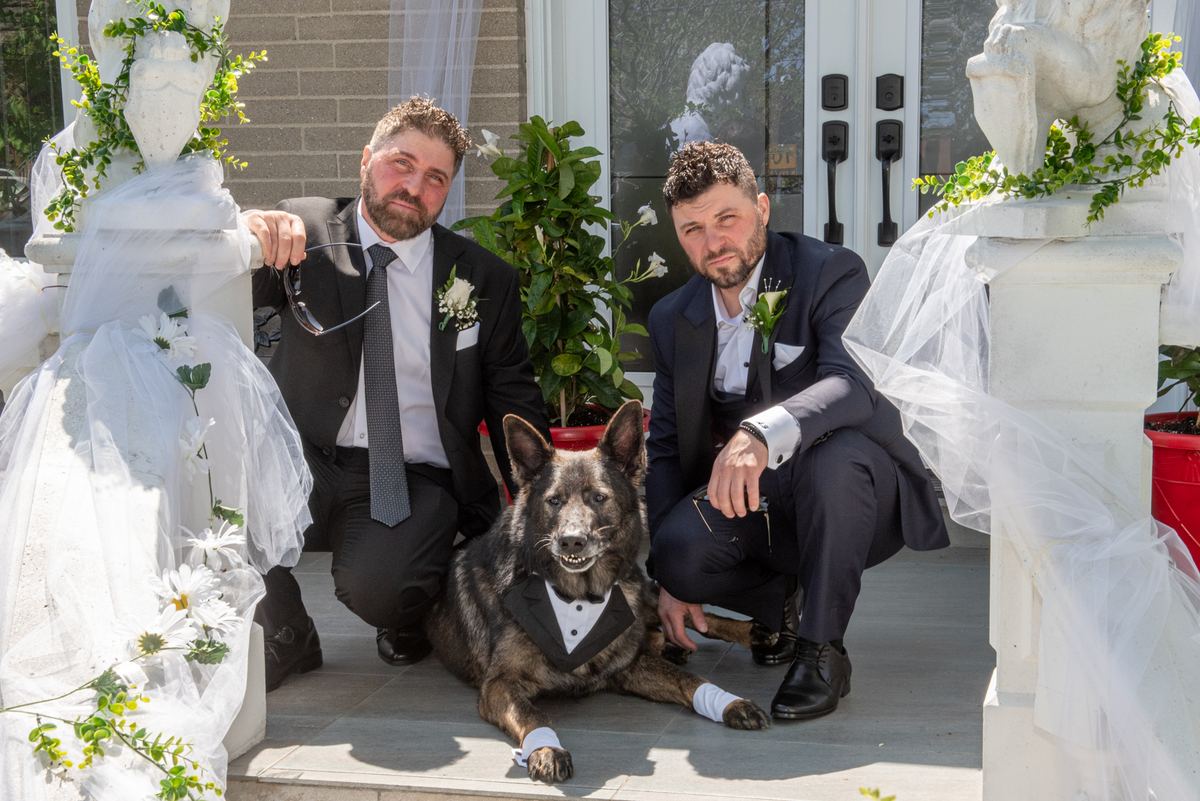 Two men in formal wear and a tuxedo-clad dog pose on a decorated porch with statues draped in veils, bathed in sunlight.