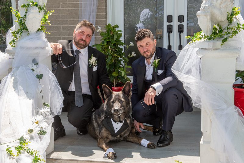 Two men in formal wear and a tuxedo-clad dog pose on a decorated porch with statues draped in veils, bathed in sunlight.