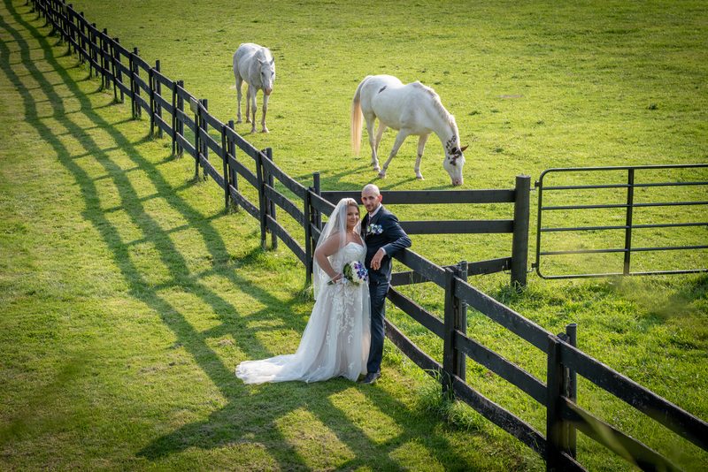 A bride and groom pose beside a wooden fence in a sunlit pasture with two white horses grazing peacefully in the background.