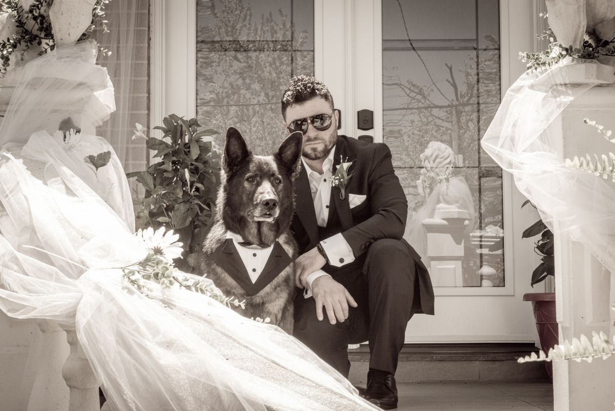 Groom and his German Shepherd in tuxedos sit by a decorated doorway with bride partially visible, softly lit by daylight.