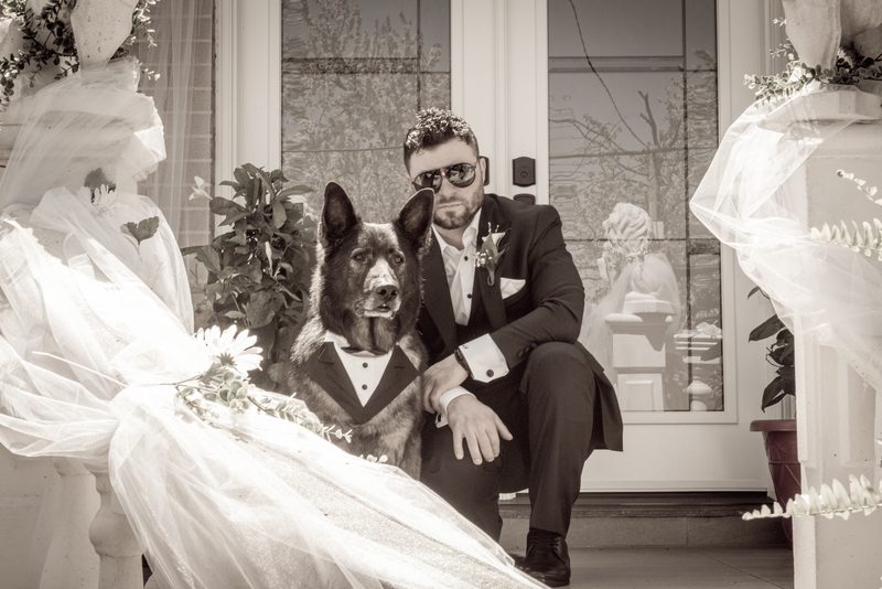 Groom and his German Shepherd in tuxedos sit by a decorated doorway with bride partially visible, softly lit by daylight.