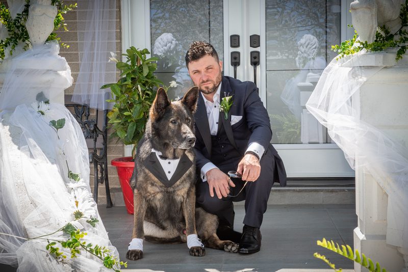 Alessandro kneels beside his dog, who is dressed in a miniature tuxedo, on a decorated porch flanked by bride mannequins.