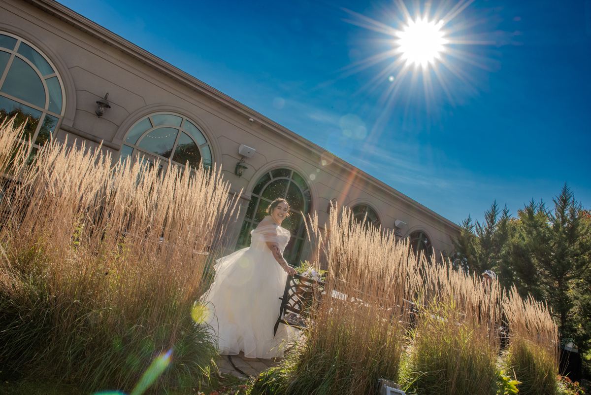 A bride in a white gown smiles among golden grasses under a sun that creates lens flares and highlights textures.