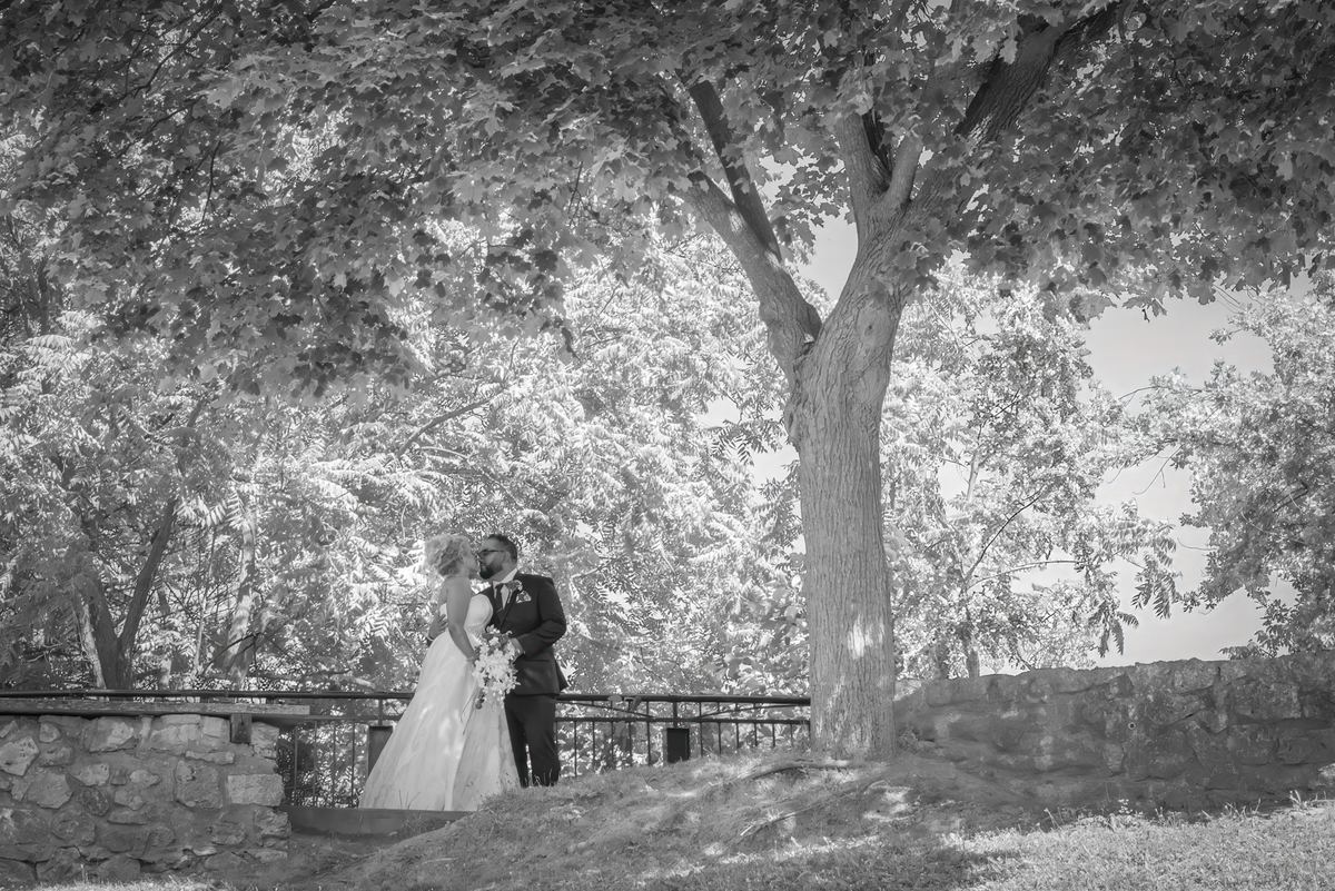 A bride and groom kiss under a leafy tree, surrounded by stone walls, in soft black-and-white light.