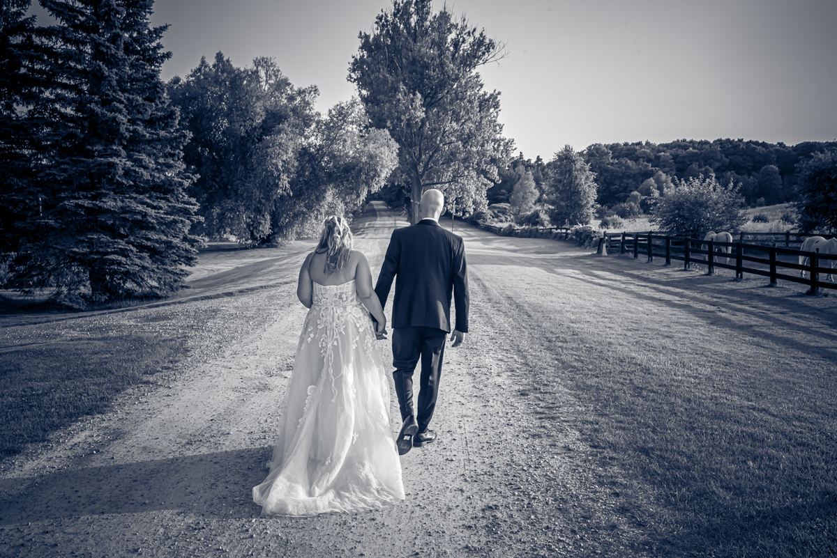 A bride and groom walk hand-in-hand down a sunlit dirt road toward a wooded horizon, with trees, a fence.