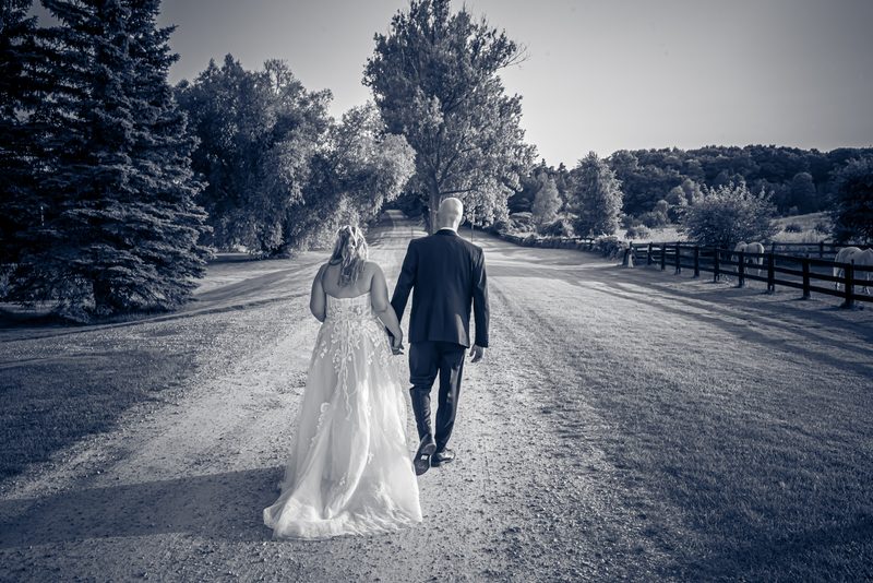A bride and groom walk hand-in-hand down a sunlit dirt road toward a wooded horizon, with trees, a fence.