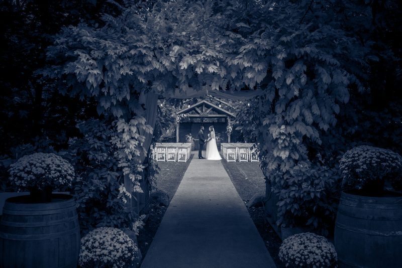 Alexandria and Derado stand at the end of a paved aisle under a leafy archway, framed by dense foliage and wooden barrels.