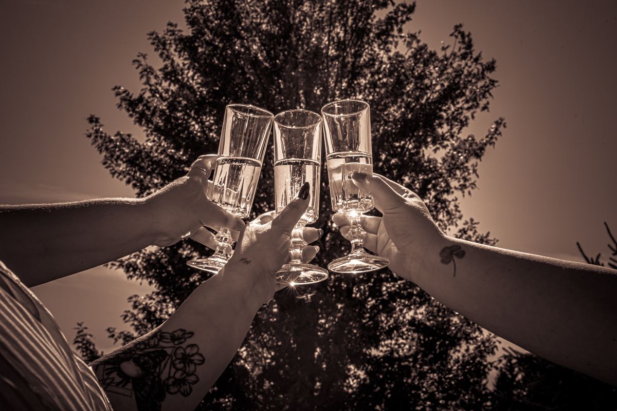 Three hands holding champagne flutes in a toast against a backdrop of trees and golden light, with visible tattoos.