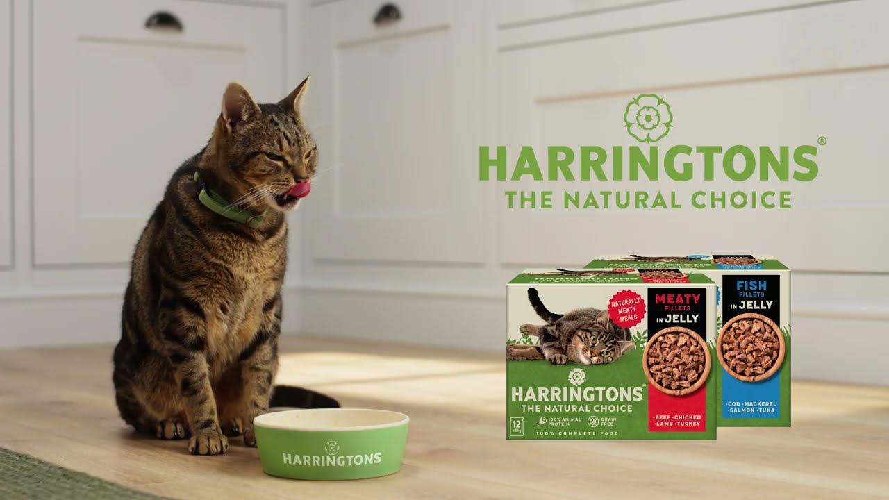 Harrington's Pet Food 2023 commercial - voiced by Rich Hardisty
