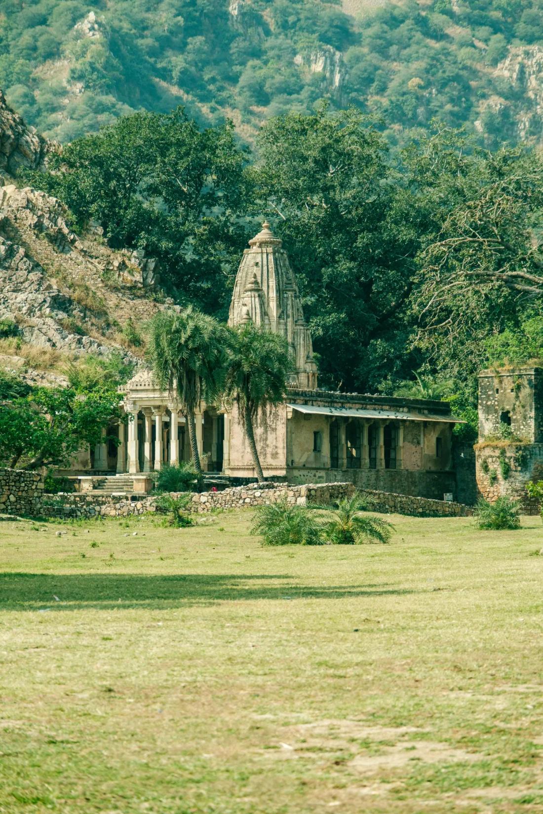 The Art of Slowing Down in India
