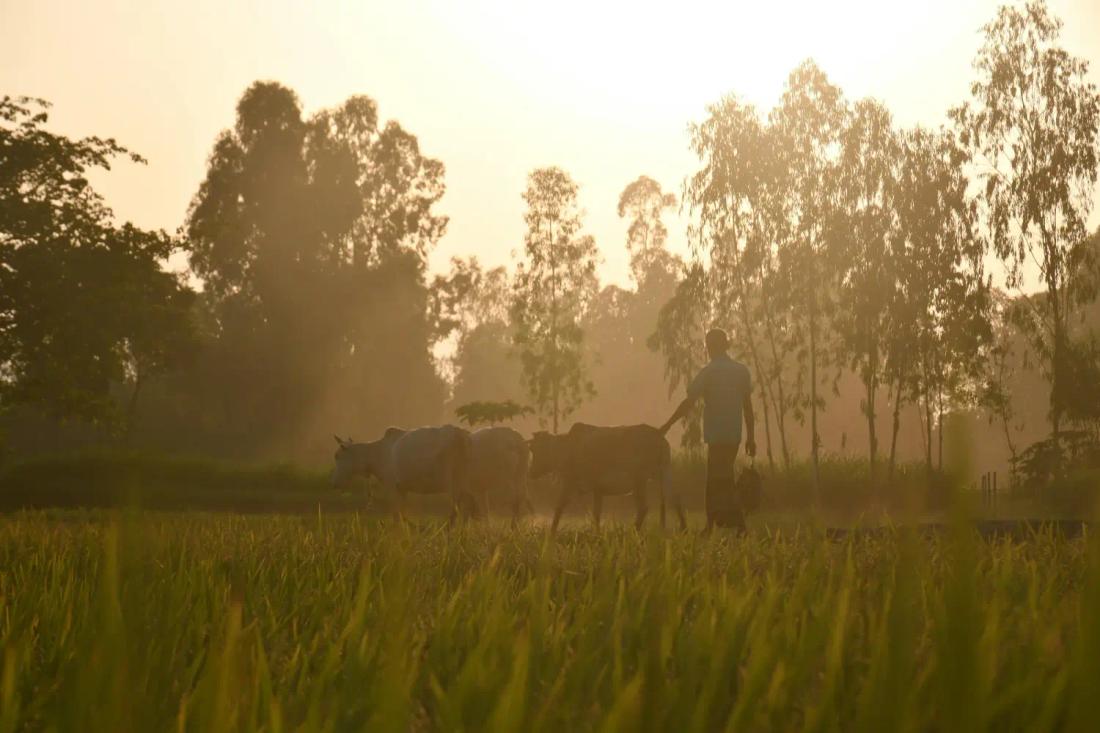 The Art of Slowing Down in India