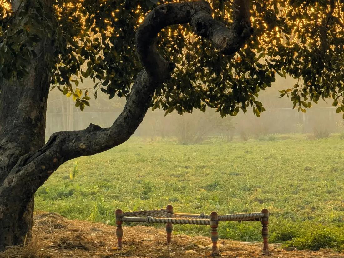 Why Every Indian Home Once Had a Charpai