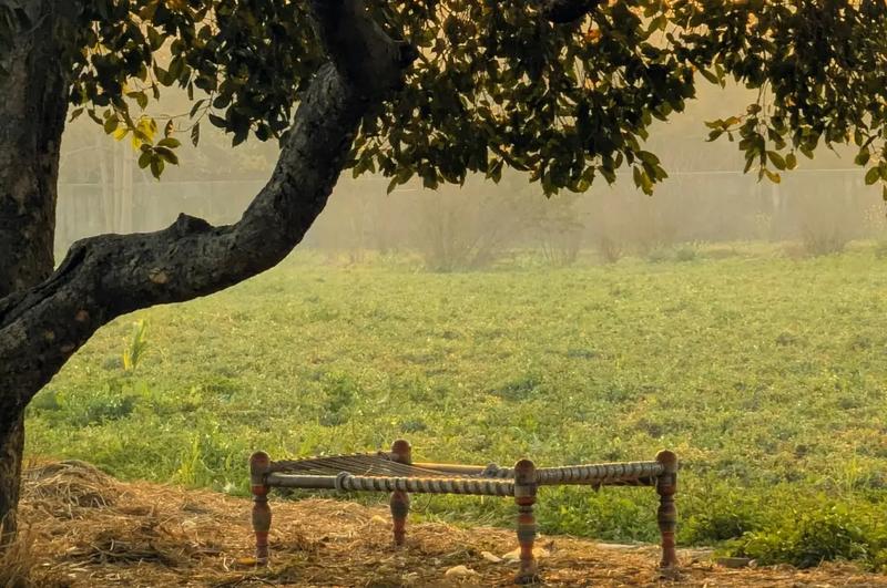 Why Every Indian Home Once Had a Charpai