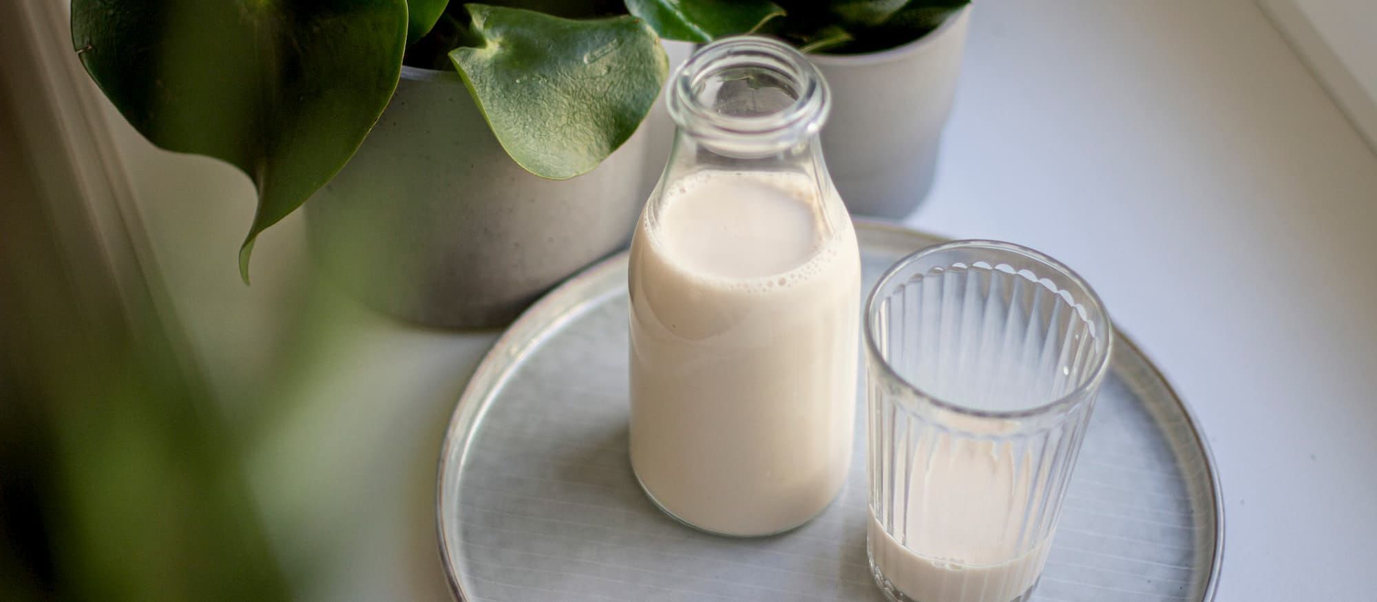 milk