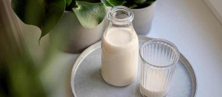 Cow's milk vs. milk alternatives - Which milk has the smallest environmental impact?