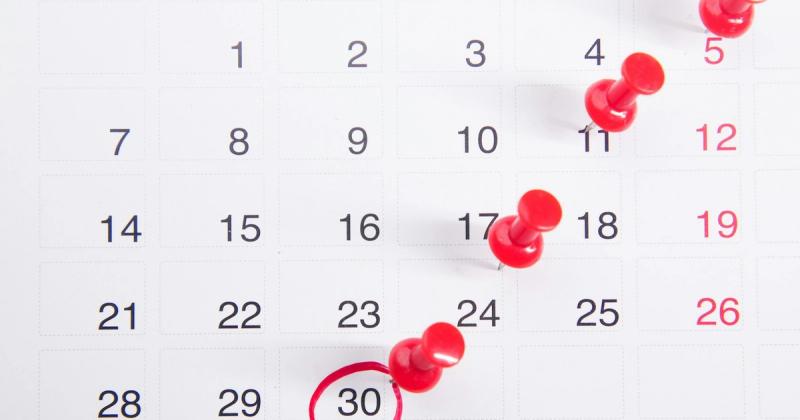 Wall calendar with study plan markings