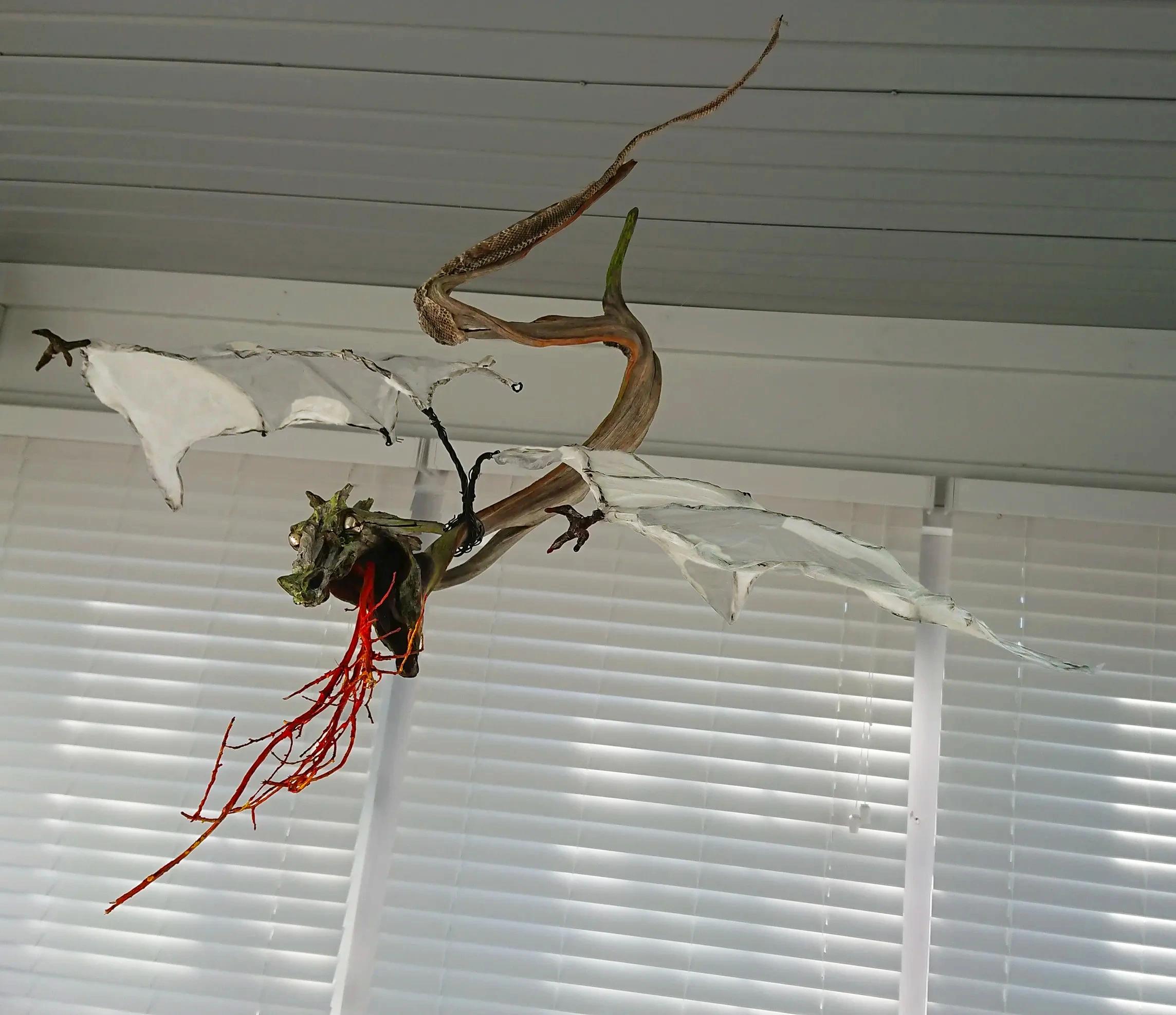 Amphiptere alternate angle