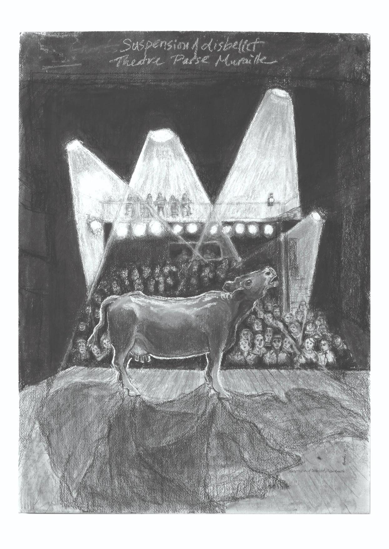 show image