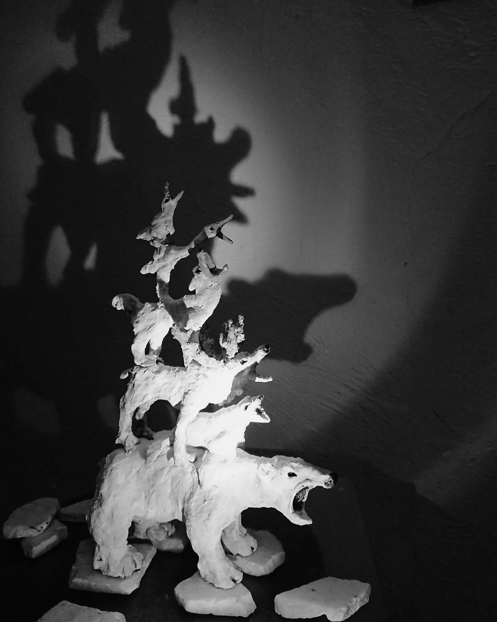 show image