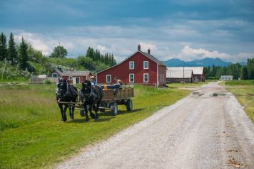 Horse-drawn wagon near a red barn pulling passengers down the side of a gravel road.