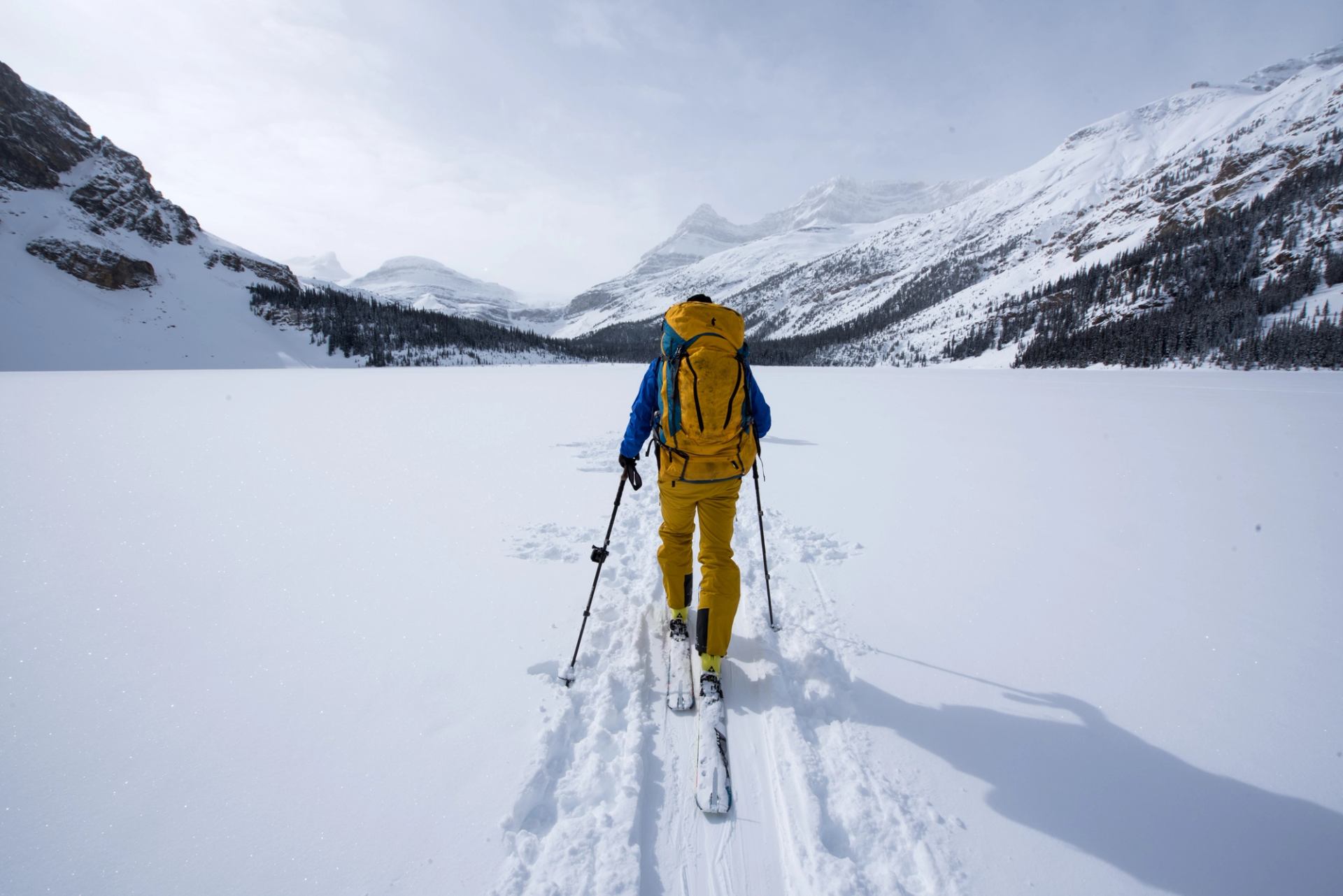 One cross country skier on the Wapta Traverse hut to hut ski tour in Jasper National Park