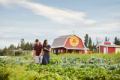 A couple picking their own produce at a U-Pick at The Jungle Farm in Red Deer