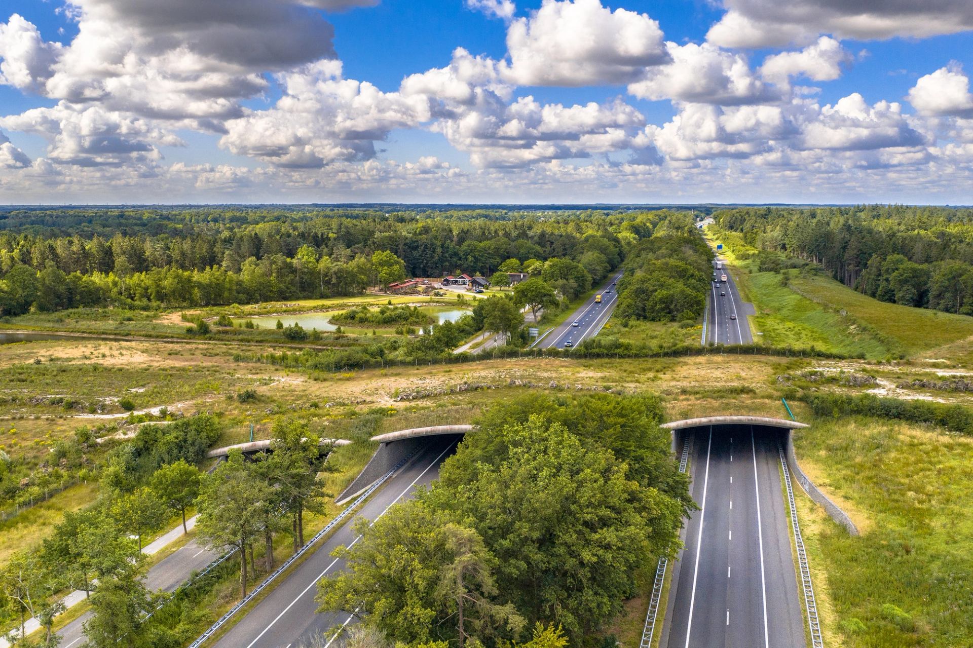 Aerial view of a wildlife overpass in the Netherlands.