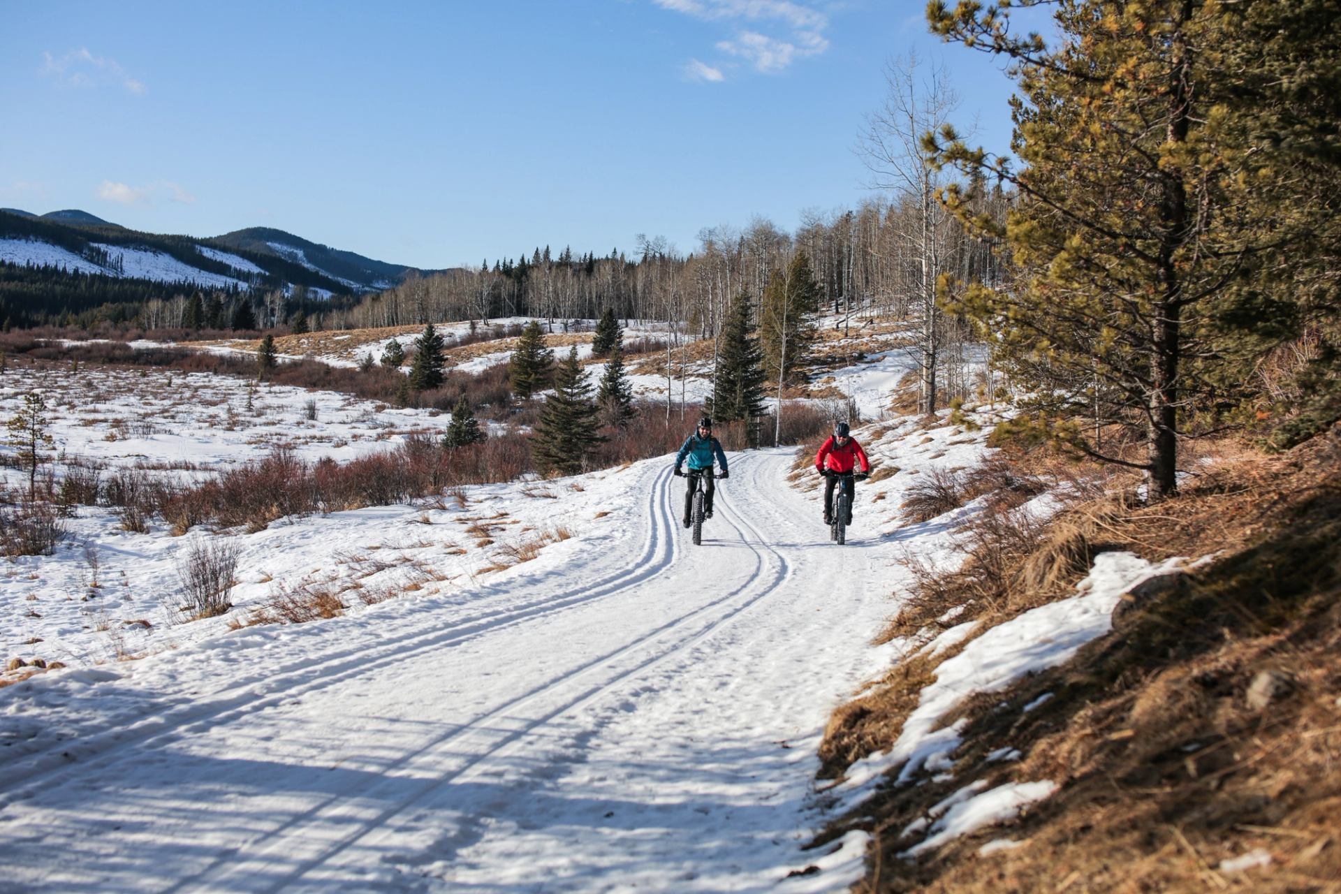 Two people fatbiking on a trail in Bragg Creek in winter.