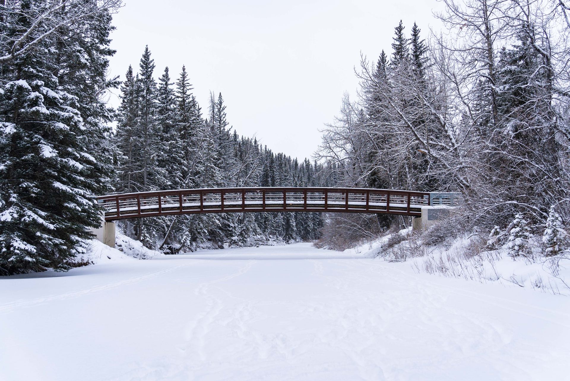 The Shannon Terrace Bridge in Fish Creek Provincial Park in the winter