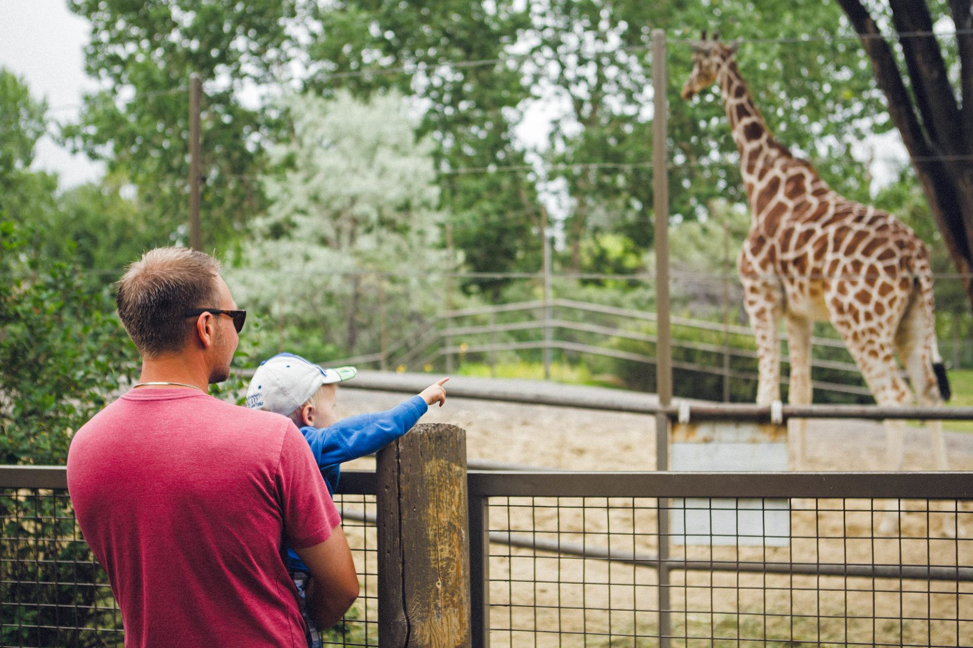 Father and son at Calgary zoo.